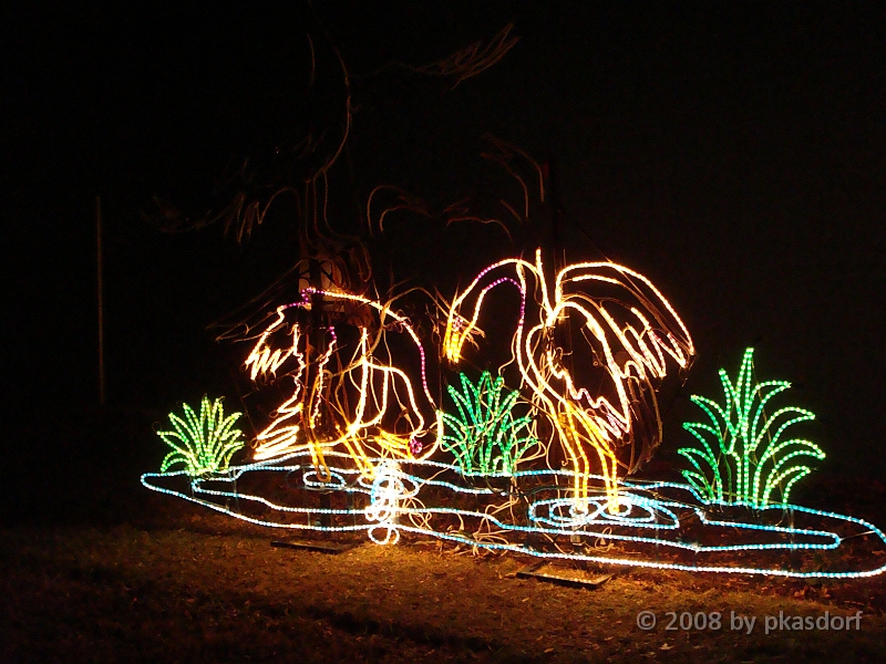 048 Toledo Zoo Light Show [2008 Dec 27].JPG - Scenes from the Toledo Zoo Light Show.